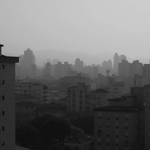 Photo #9220698