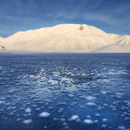 Photo #9221103