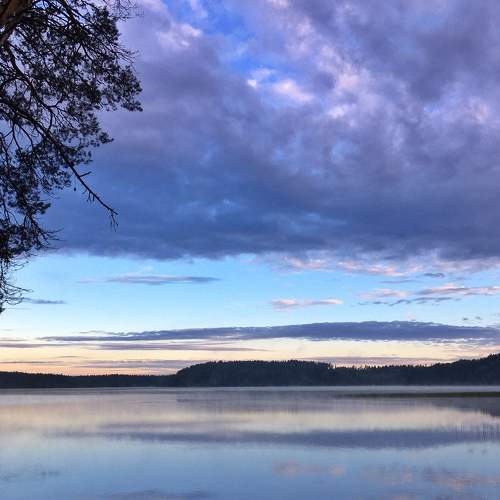 Photo #9221375