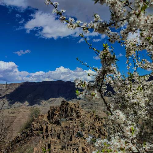 Photo #9221409