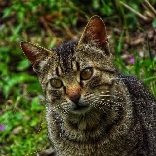 Photo #9221556