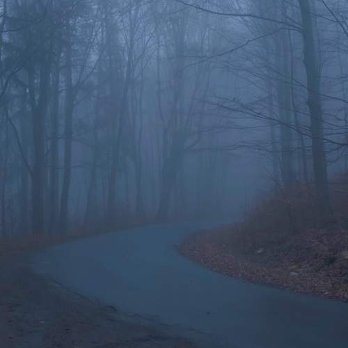 Photo #9221608