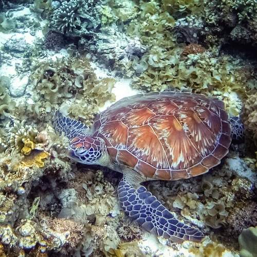 Photo #9221657