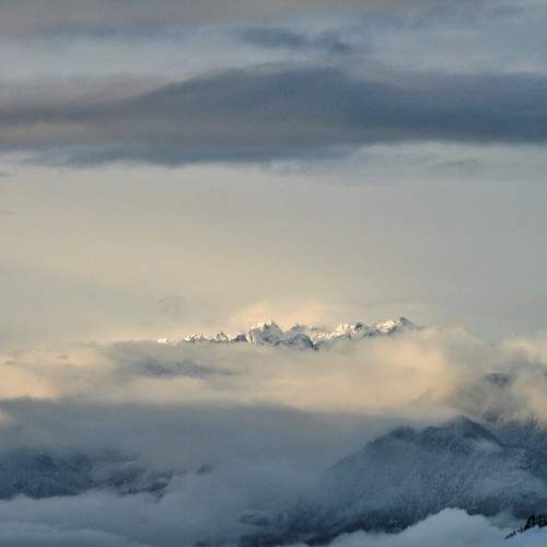 Photo #9221941