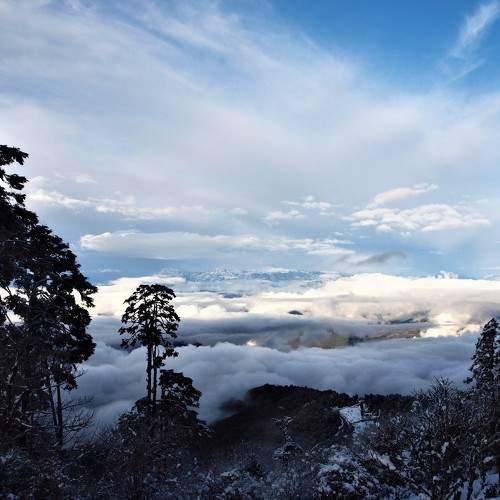 Photo #9221944