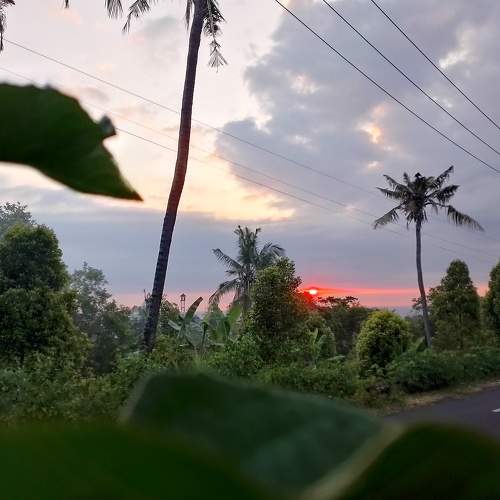 Photo #9222118