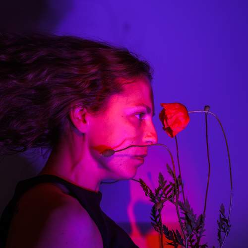 Photo #9222716