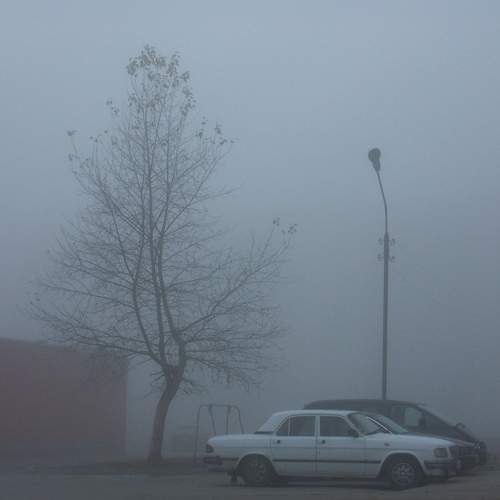 Photo #9222734
