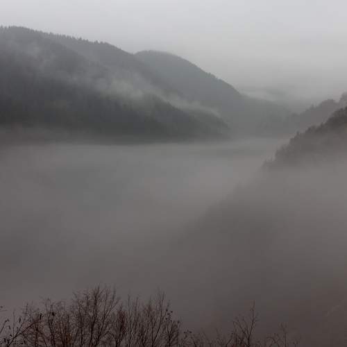 Photo #9222738