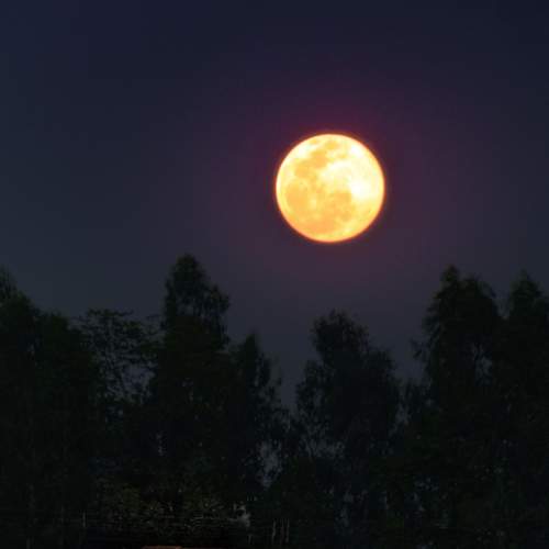 Photo #9223274