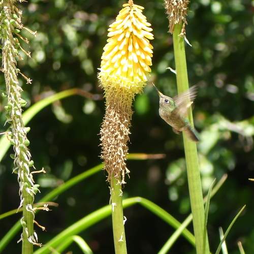 Photo #9223413