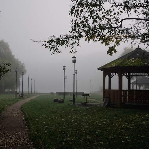 Photo #9223610