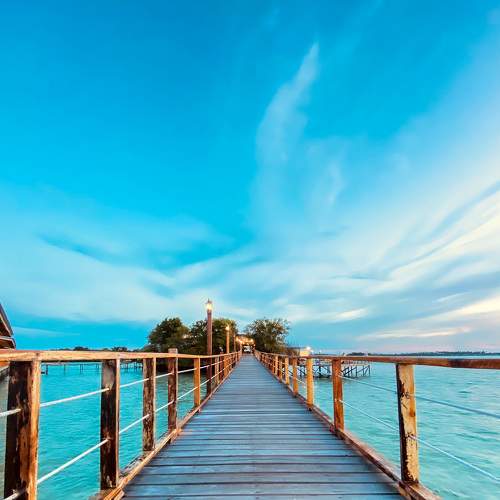 Photo #9223679