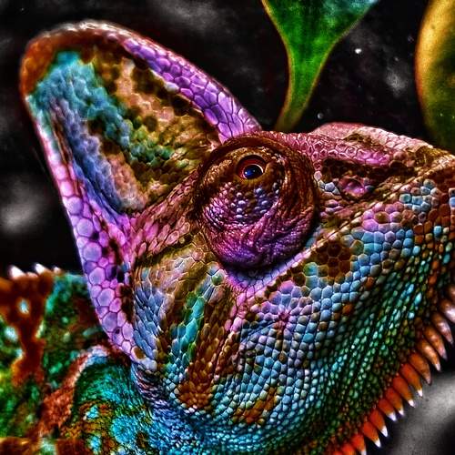 Photo #9223947