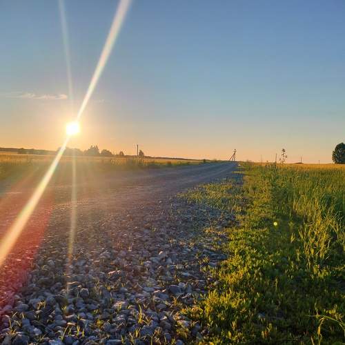 Photo #9224121