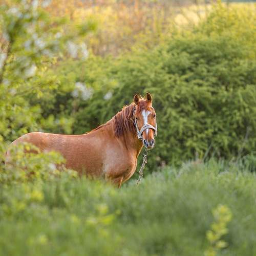 Photo #9224302