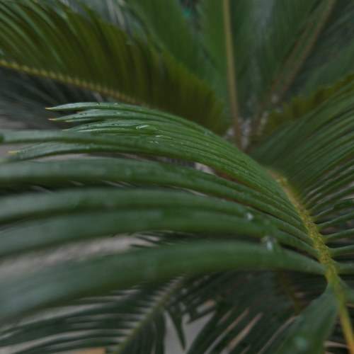 Photo #9224358