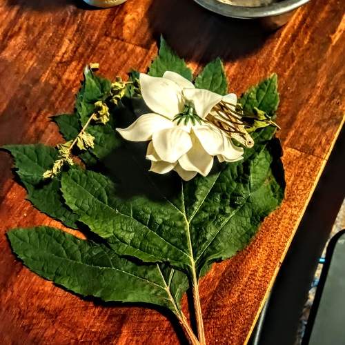 Photo #9224602