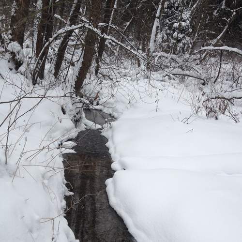 Photo #9224637