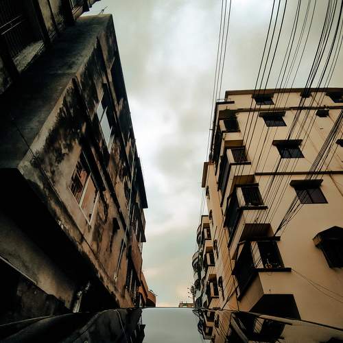 Perspective