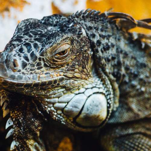 Photo #9224793