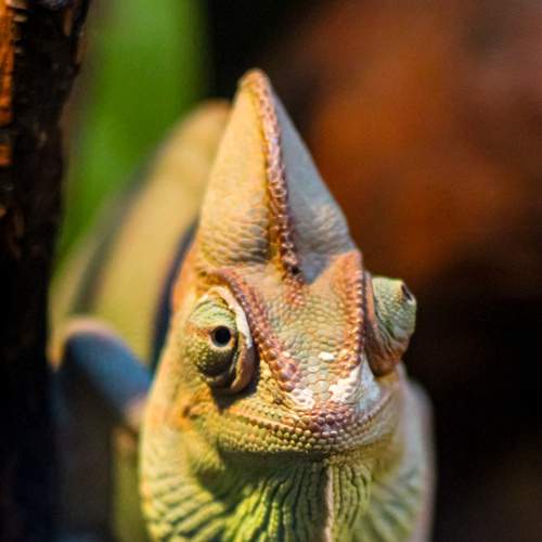 Photo #9224797