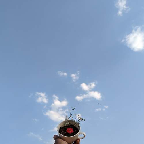 Photo #9225114
