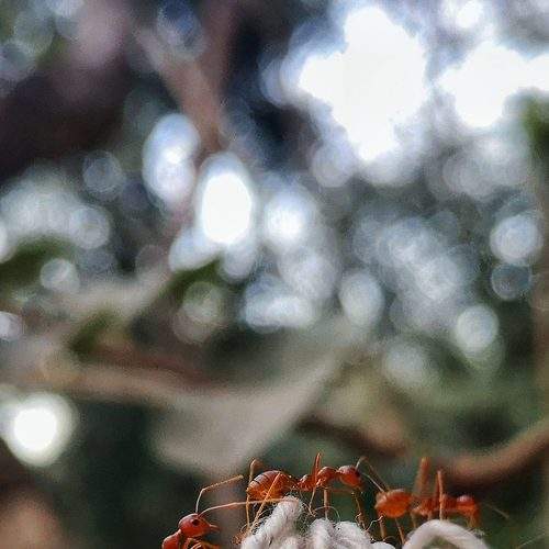 Фотография #9225281