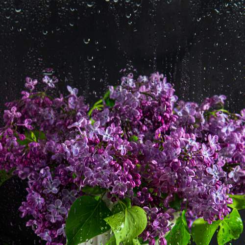 Photo #9225350