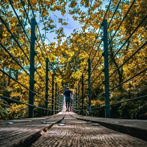 Photo #9225449