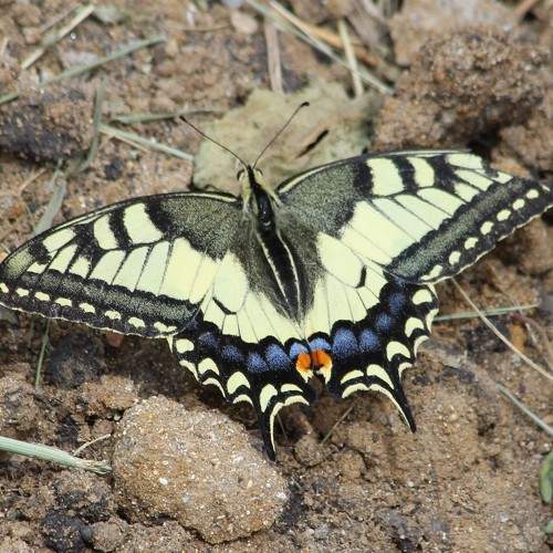 Photo #9225636