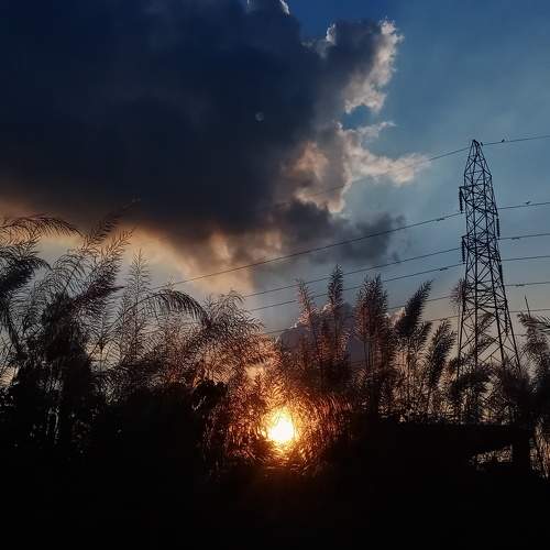 Sunset