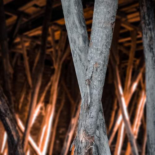 Photo #9225874