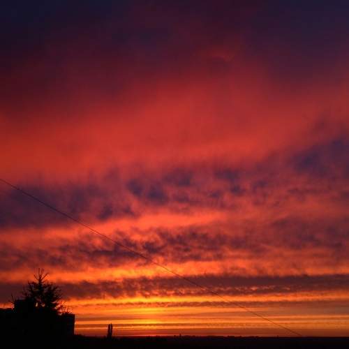 Photo #9225886