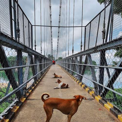 Uniformity