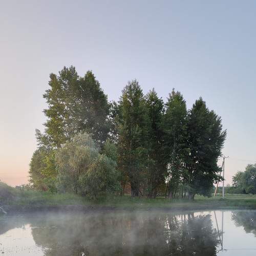Photo #9225940