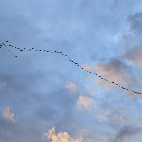 Photo #9226049
