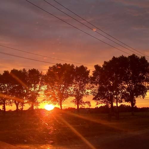 Photo #9226248