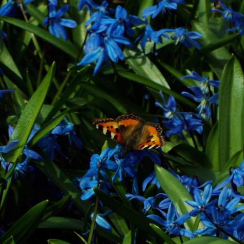Photo #9226305