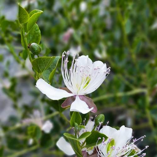 Photo #9226609