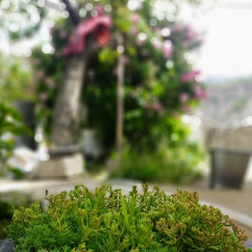 Photo #9226613