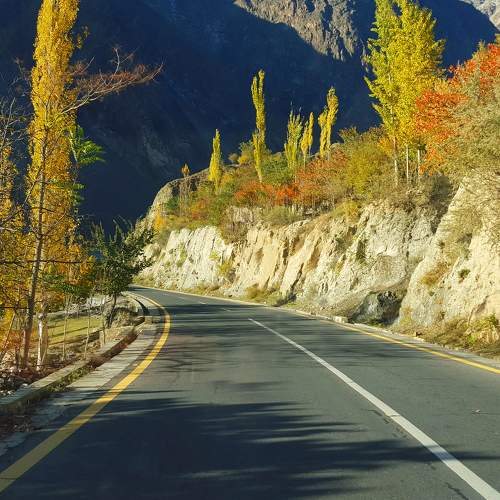 Photo #9226687