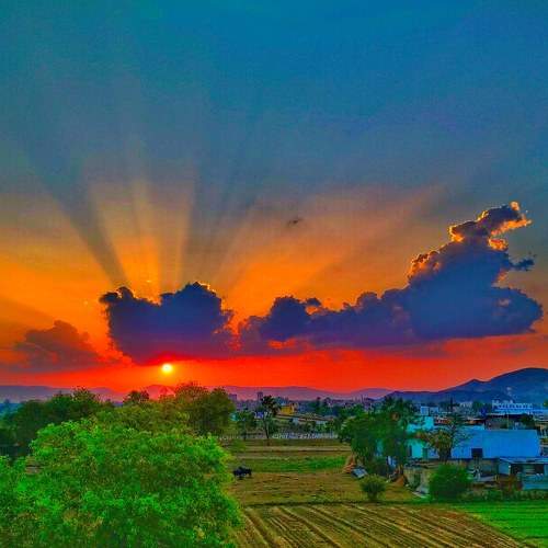 Photo #9226944