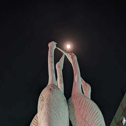 Photo #9227011