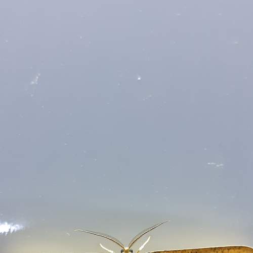 Photo #9227194