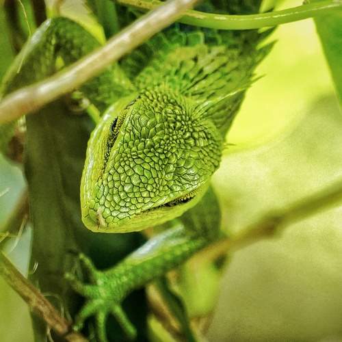 Photo #9227218