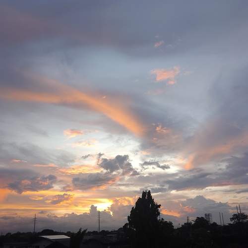Photo #9227284