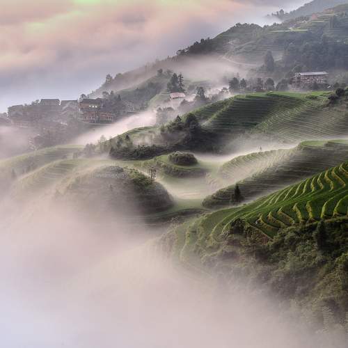 Photo #9227289