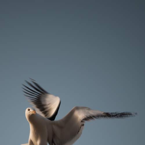 Photo #9227305