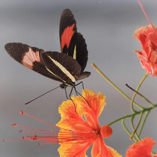 Photo #9227319